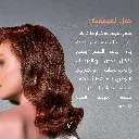117.webp
