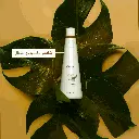 146.webp