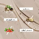 147.webp