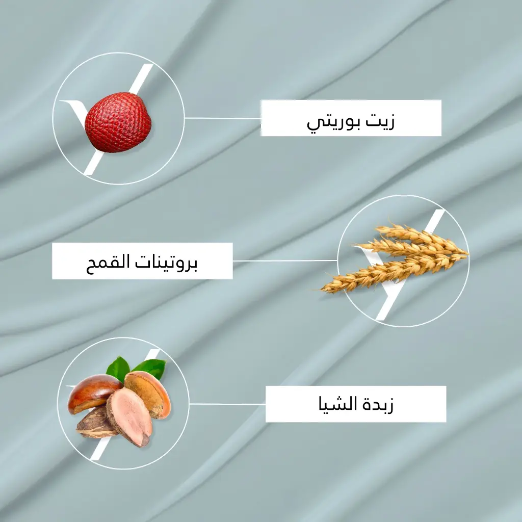 185.webp