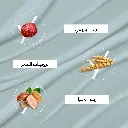 185.webp