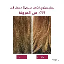 8.webp