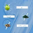 3.webp