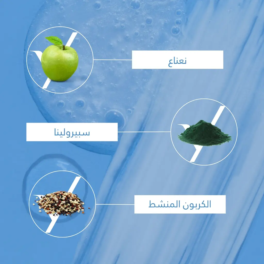 3.webp