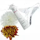 5.webp