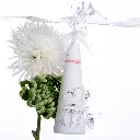 65.webp