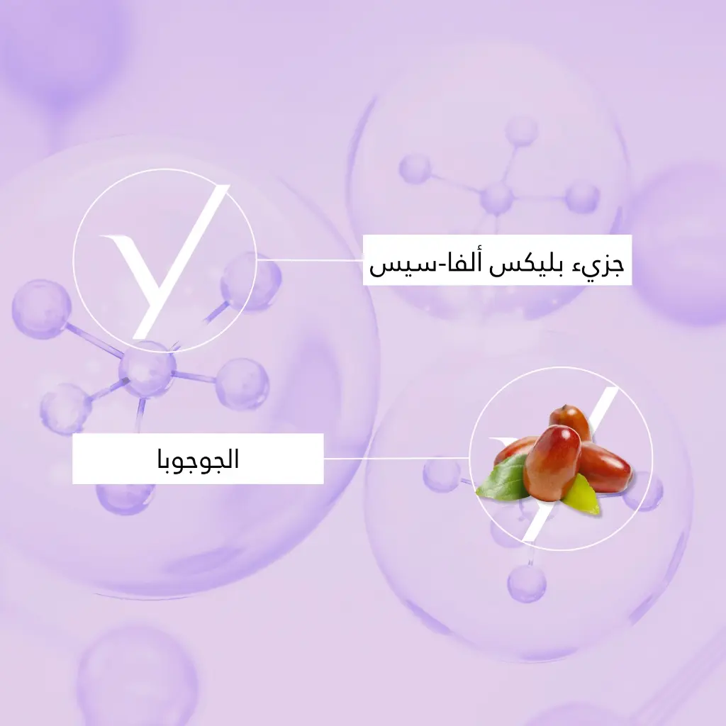 73.webp