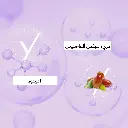 73.webp